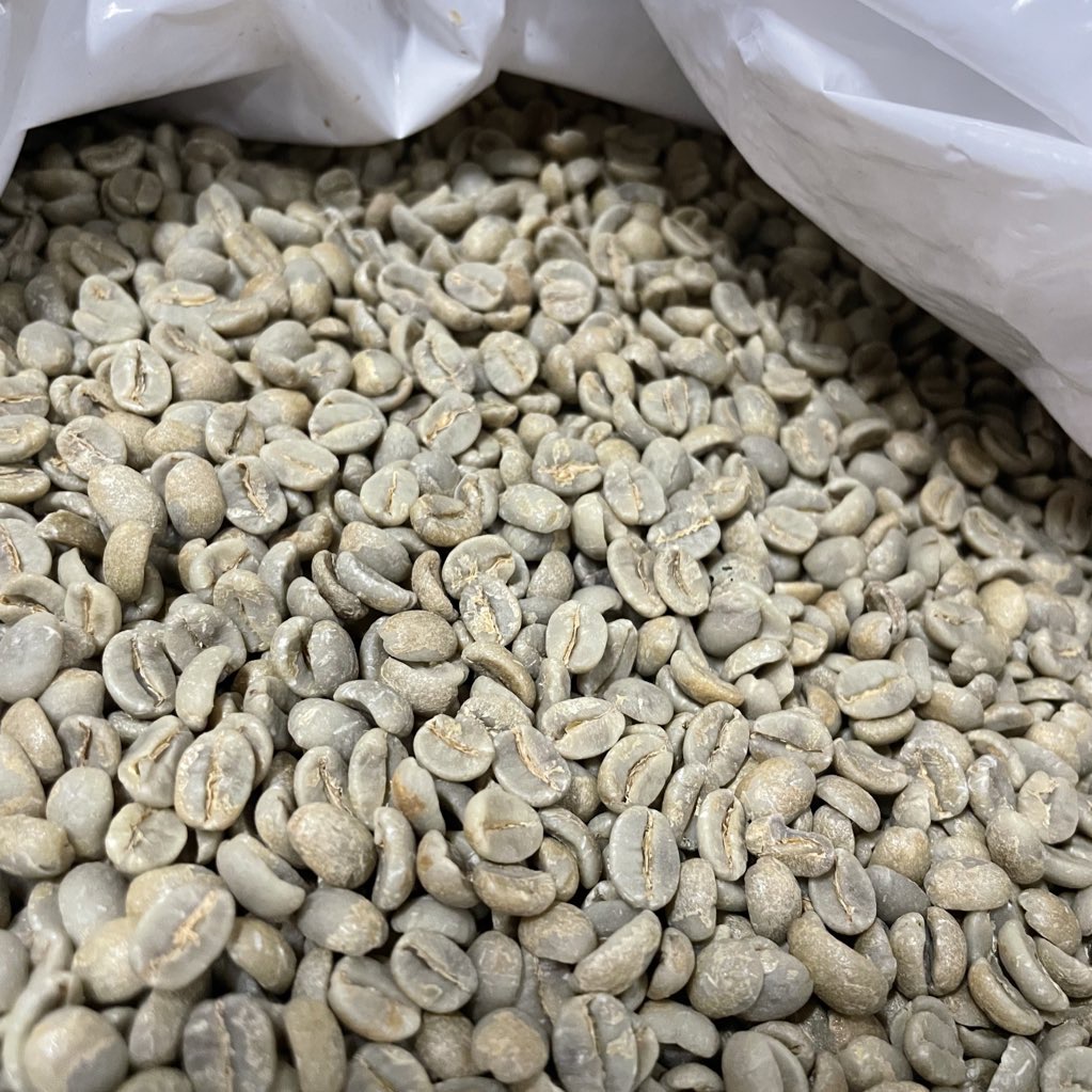 ブラジル　パッセイオ