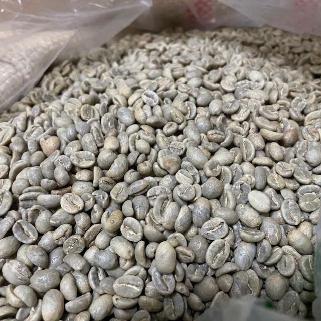 コロンビア・ビジャファティマ・ブルボン