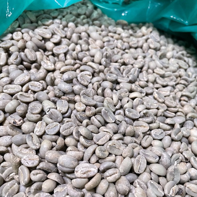 イルガチェフェ　コンガ　ウォッシュド