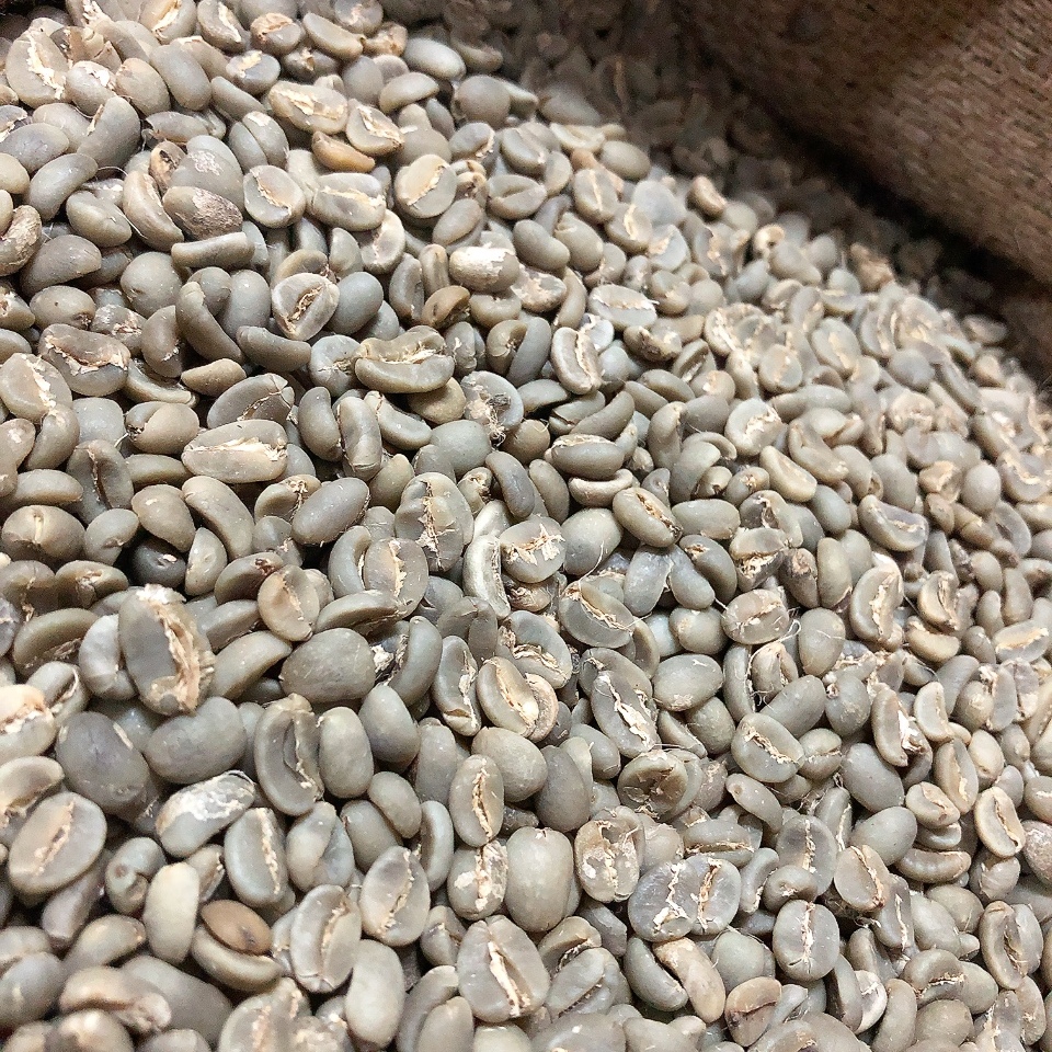 カロシ・トラジャ