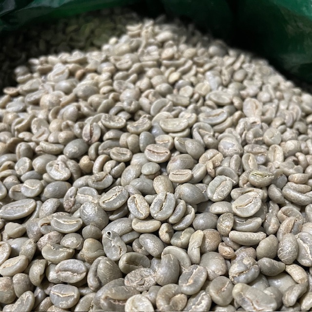 ペルー　アルパカ　アプロカシ